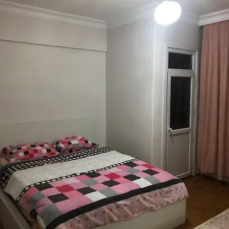 Apartment Shifa 2 Bedroom 1 Living Separeted Kitchen Entire Flat